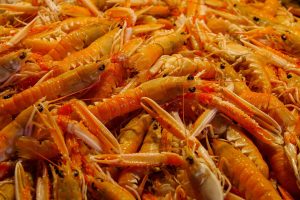 Premium Fish Shrimp Crab Review 2026: Bonus, App, Withdrawal Tested